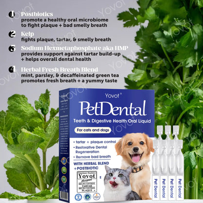 [Official Store] Yovot® Pet Dental & Digestive Health Oral Liquid – Freshen Breath, Remove Tartar & Promote gum regeneration, stabilize teeth (for Cats & Dogs)  – Save 80% Today!