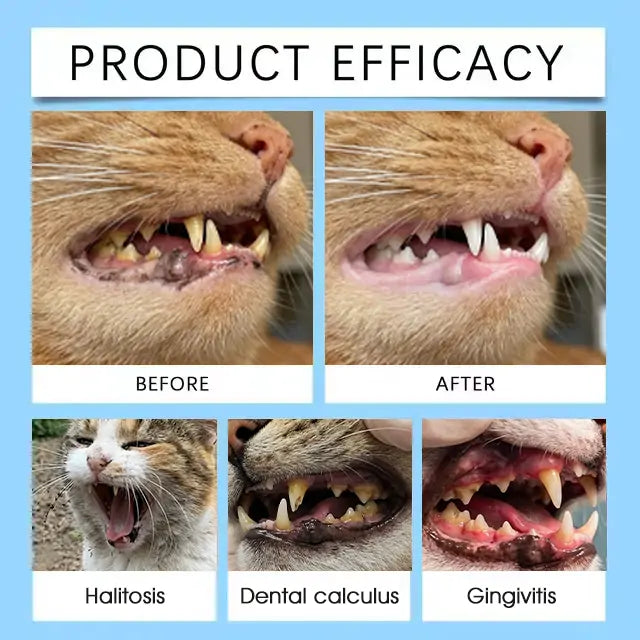 [Official Store] Yovot® Pet Dental & Digestive Health Oral Liquid – Freshen Breath, Remove Tartar & Promote gum regeneration, stabilize teeth (for Cats & Dogs)  – Save 80% Today!