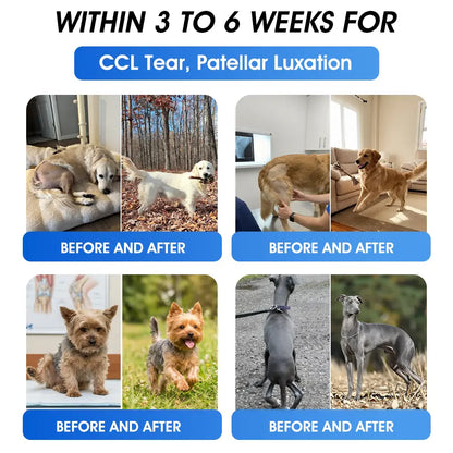 Official  Australia 🇦🇺 Store 🐶🐱Yovot® BPC-157 Advanced Joint & Total Body Health Oral Liquid -(For Dogs, Cats & Mammals. One Bottle Daily, Results in 7 Days)