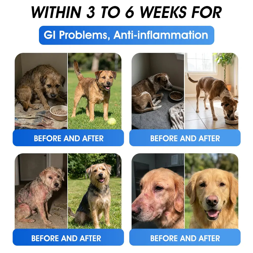 Official  Australia 🇦🇺 Store 🐶🐱Yovot® BPC-157 Advanced Joint & Total Body Health Oral Liquid -(For Dogs, Cats & Mammals. One Bottle Daily, Results in 7 Days)