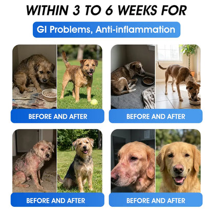 Official  Australia 🇦🇺 Store 🐶🐱Yovot® BPC-157 Advanced Joint & Total Body Health Oral Liquid -(For Dogs, Cats & Mammals. One Bottle Daily, Results in 7 Days)