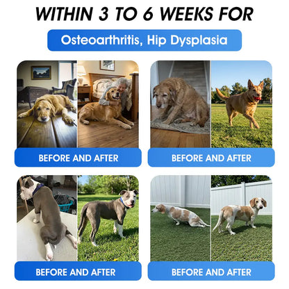 Official  Australia 🇦🇺 Store 🐶🐱Yovot® BPC-157 Advanced Joint & Total Body Health Oral Liquid -(For Dogs, Cats & Mammals. One Bottle Daily, Results in 7 Days)