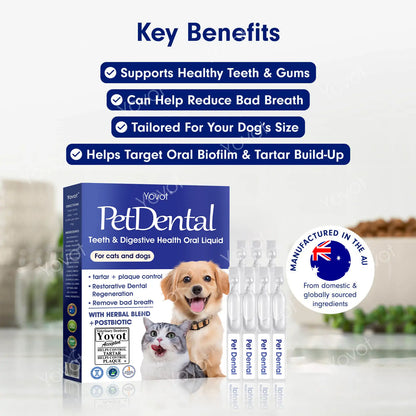 [Official Store] Yovot® Pet Dental & Digestive Health Oral Liquid – Freshen Breath, Remove Tartar & Promote gum regeneration, stabilize teeth (for Cats & Dogs)  – Save 80% Today!