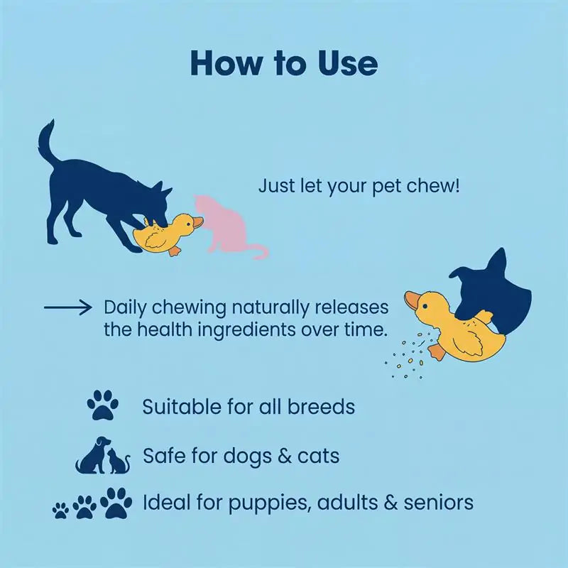 [Official USA Store] ZUEET® 6-in-1 Pet Wellness Companion Duck – A 6-in-1 wellness duck that supports teeth, skin, joints, digestion, intelligence and emotional balance.